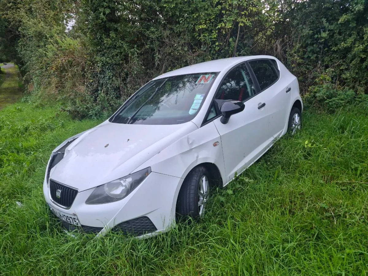 Seat ibzia - Image 1
