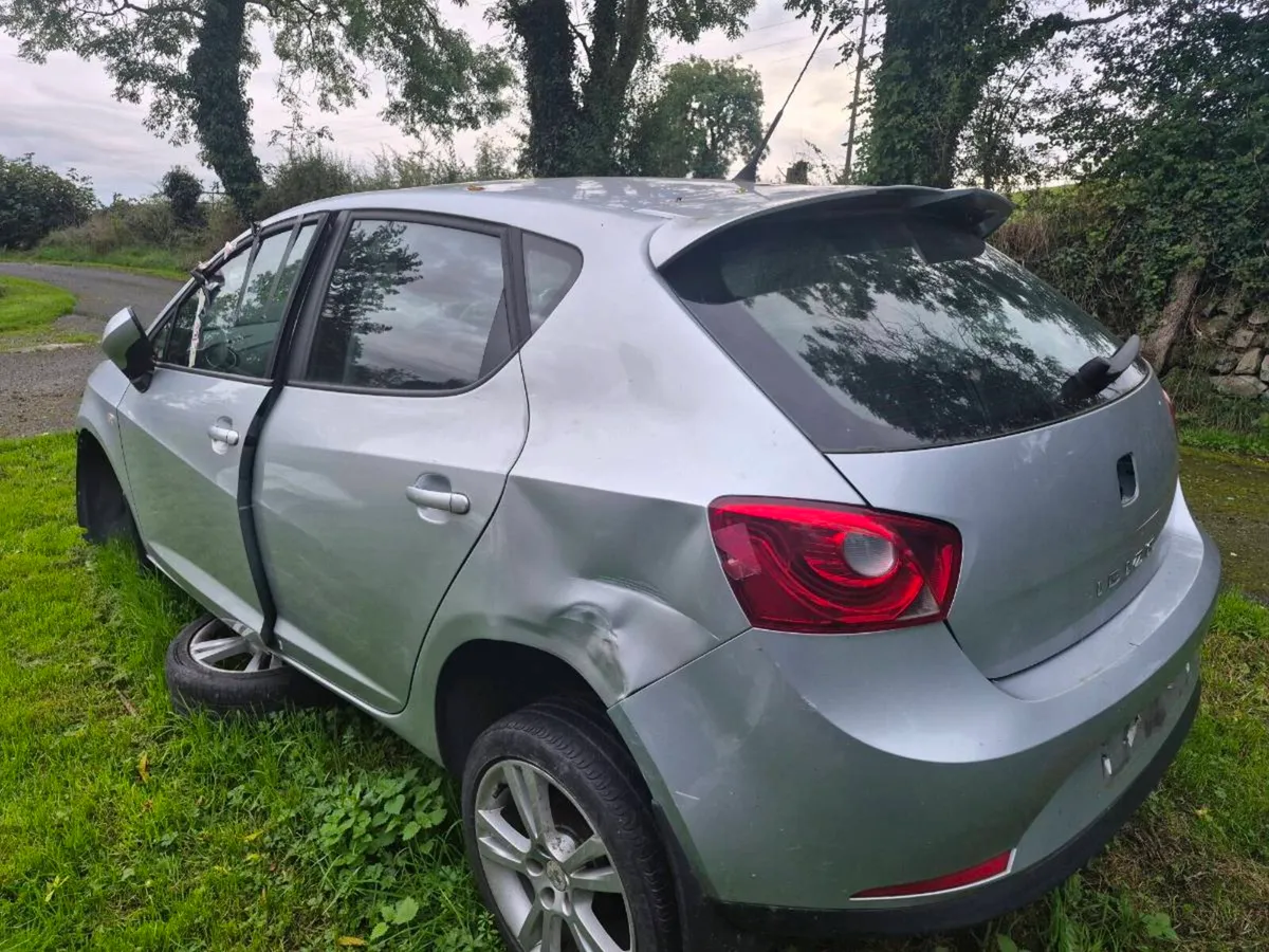 Seat ibzia - Image 3