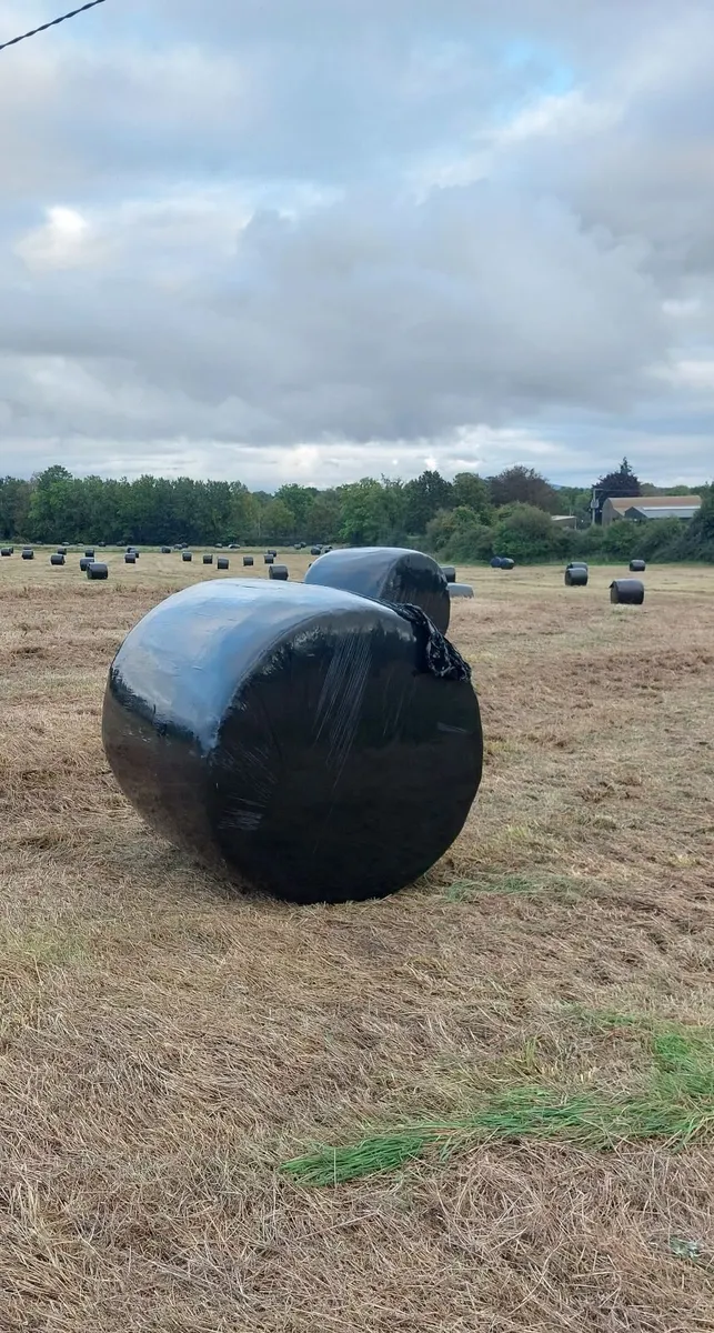 Silage - Image 1