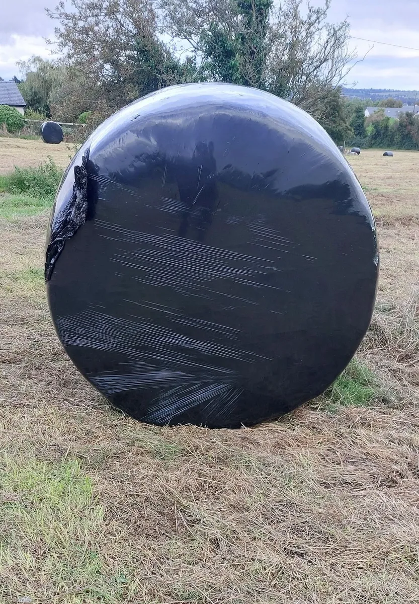 Silage - Image 3