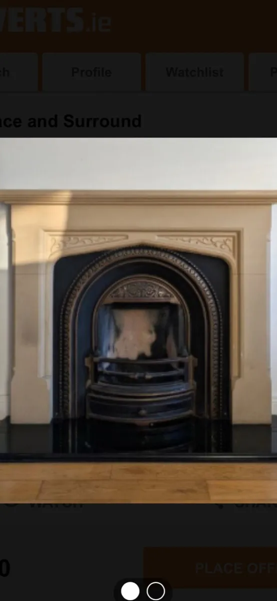 Fireplace and insert - Image 1