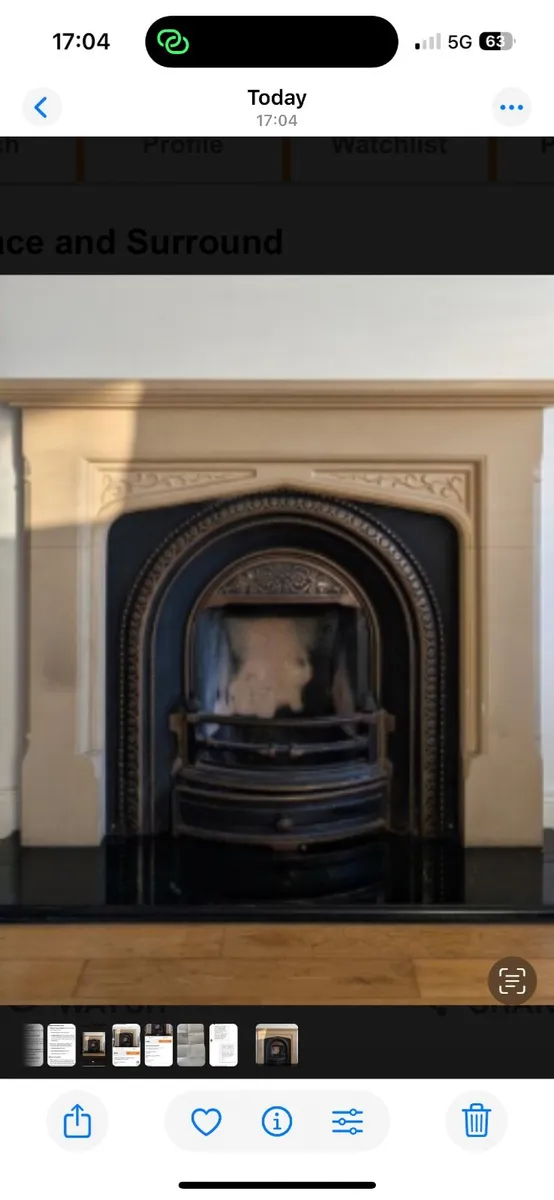 Fireplace and insert - Image 2