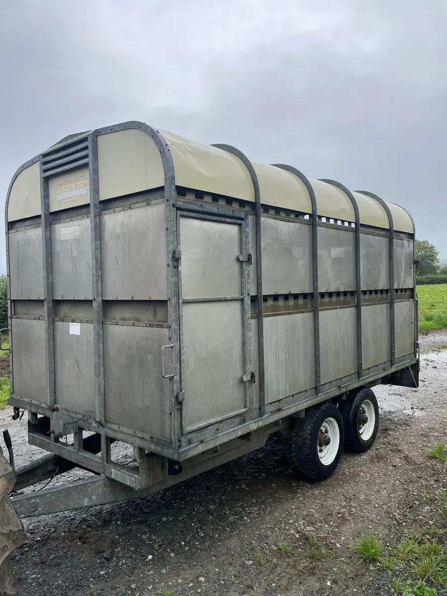 Bateson 12 x 6 Cow box - Image 1