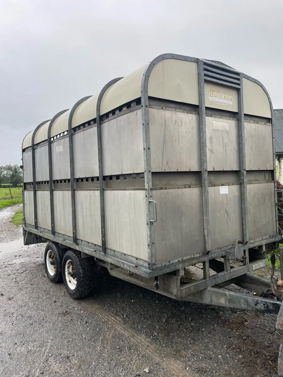 Bateson 12 x 6 Cow box - Image 2