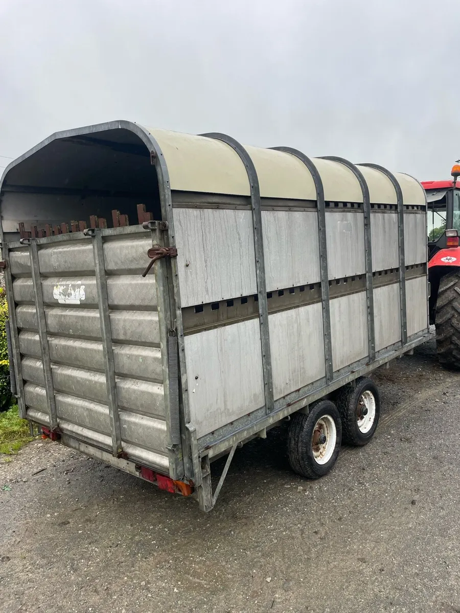 Bateson 12 x 6 Cow box - Image 3