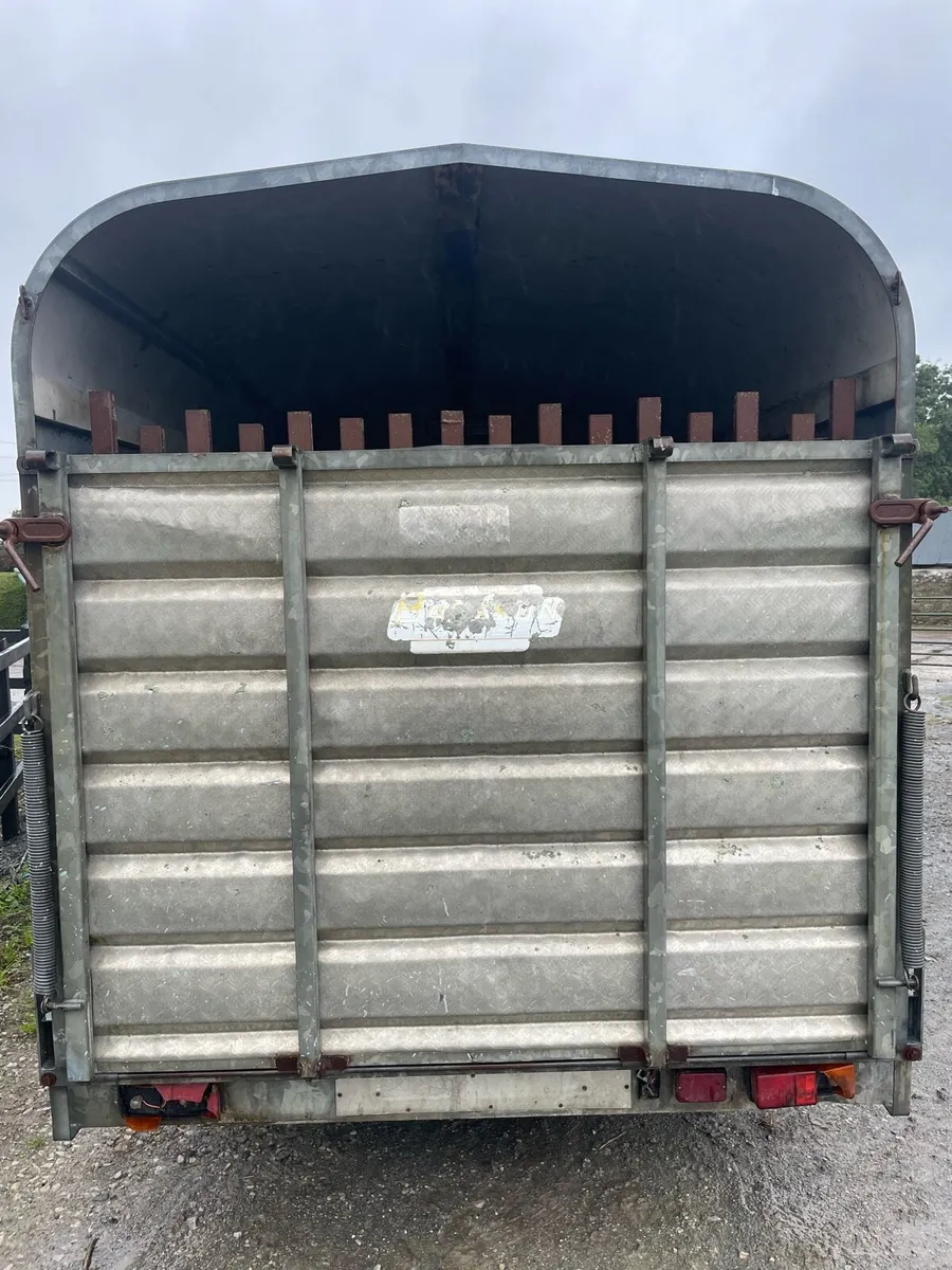 Bateson 12 x 6 Cow box - Image 4