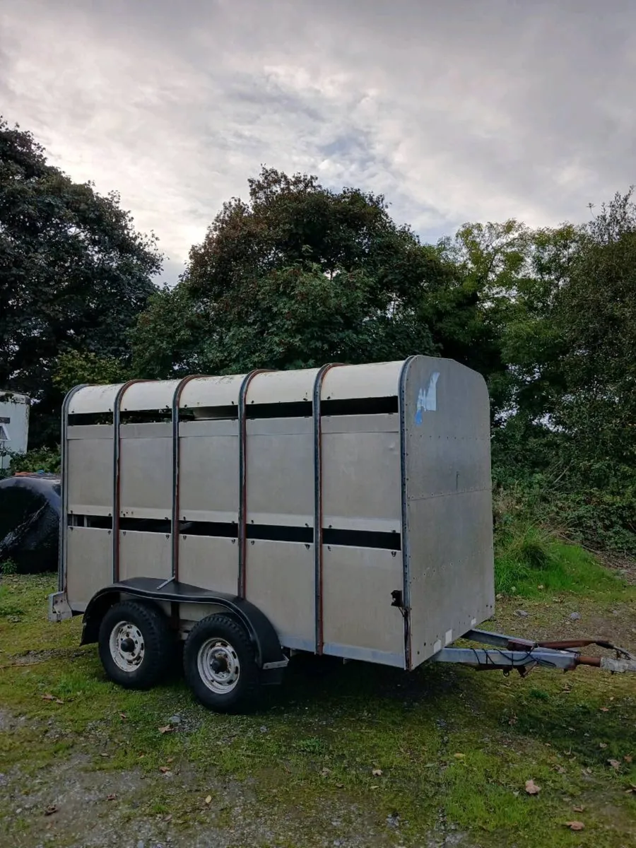 Cattle Trailer - Image 1