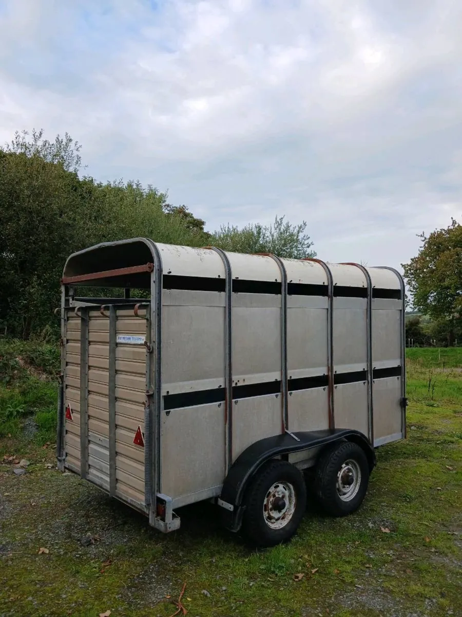 Cattle Trailer - Image 2