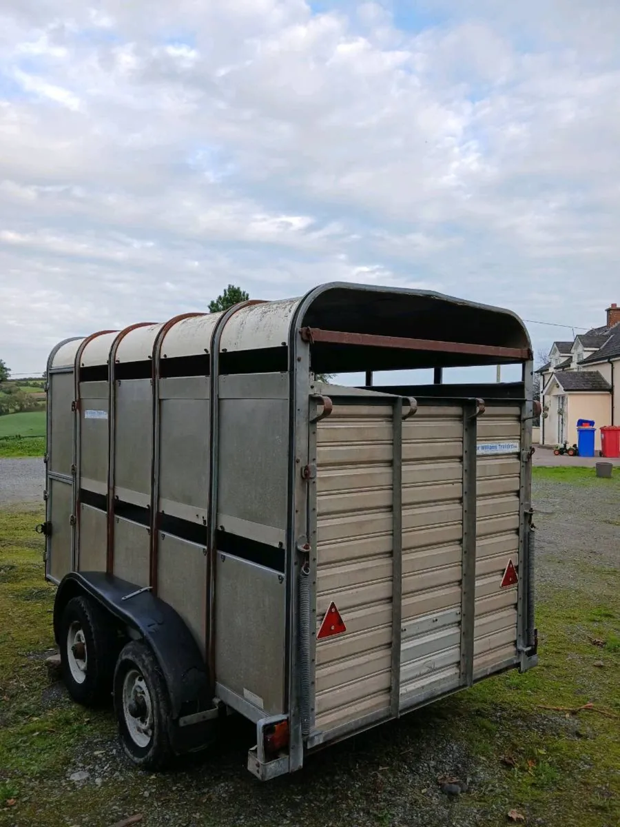 Cattle Trailer - Image 3