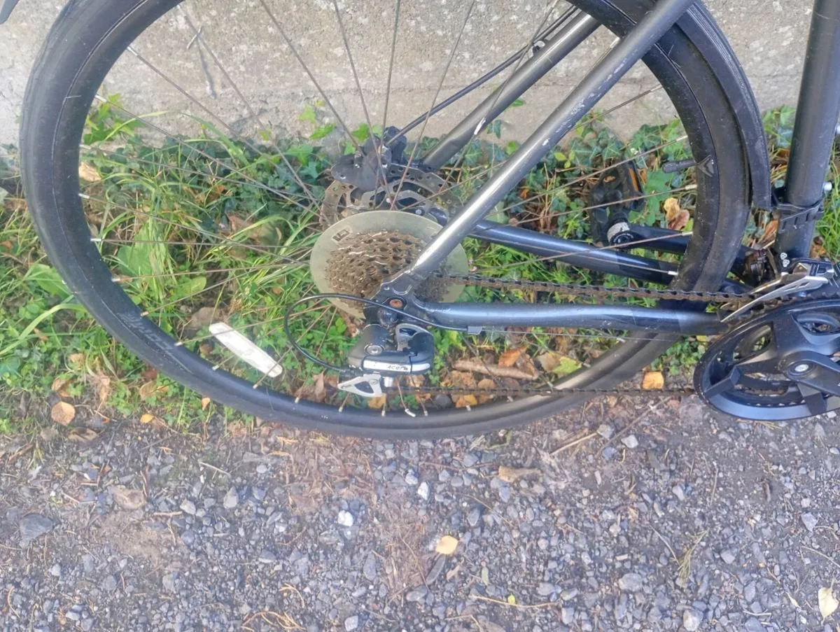 Adult City Bike Size L - Image 2