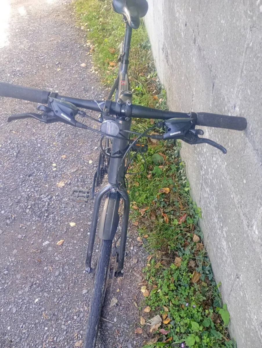 Adult City Bike Size L - Image 3