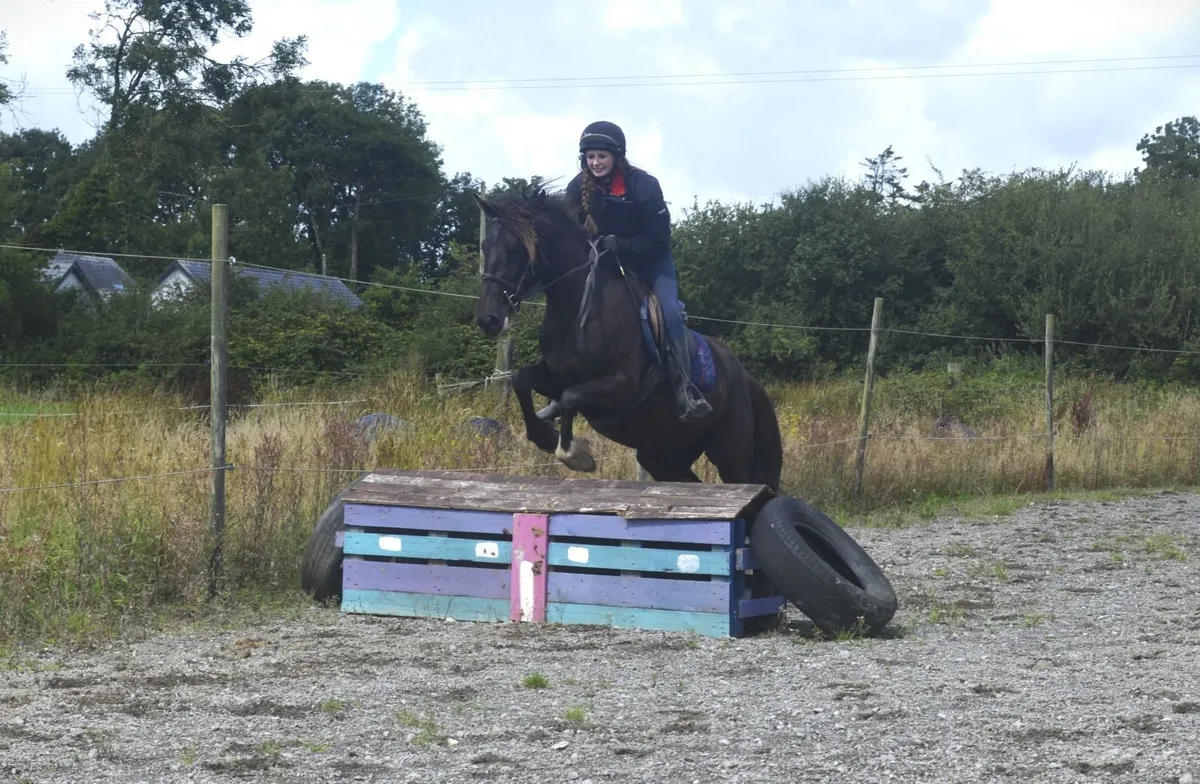 Lovely Black Mare - Image 4