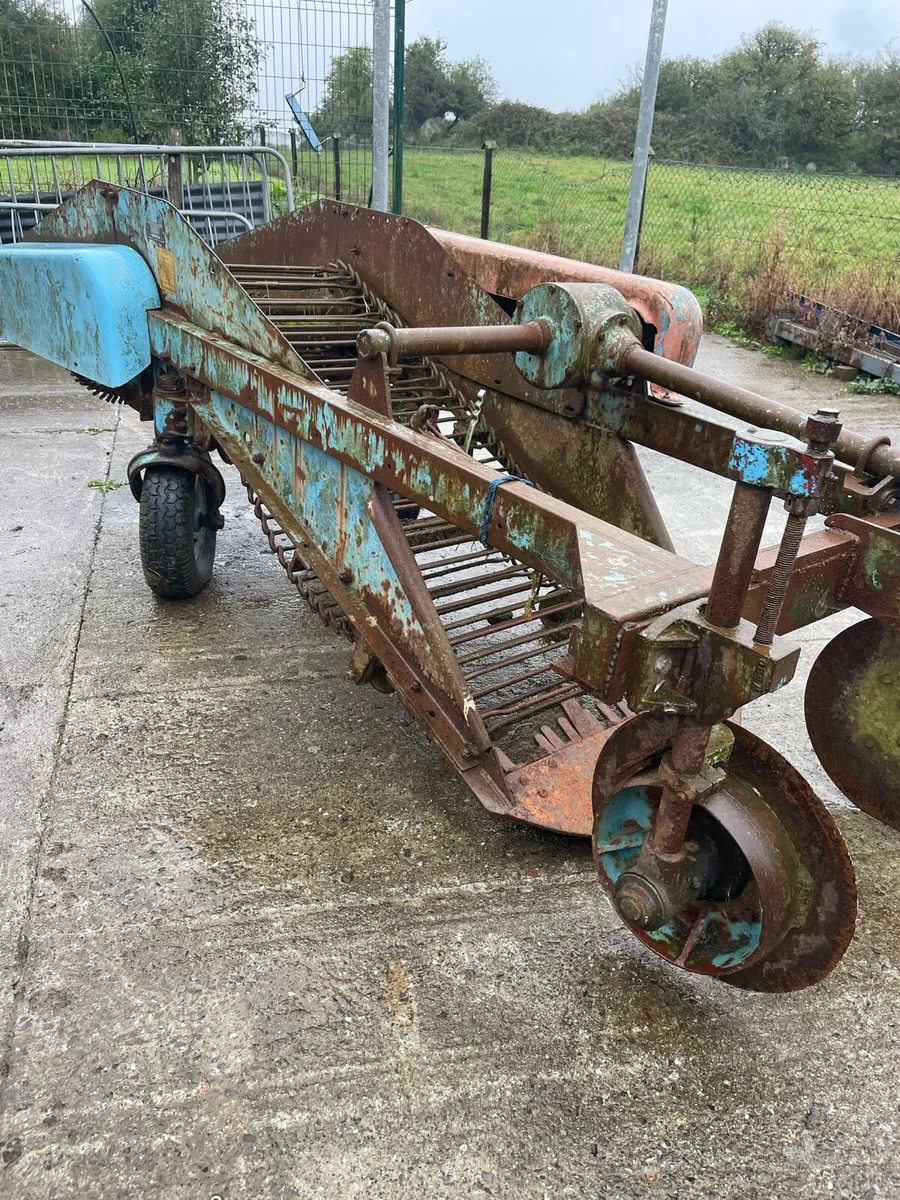 Potato picker harvester - Image 1