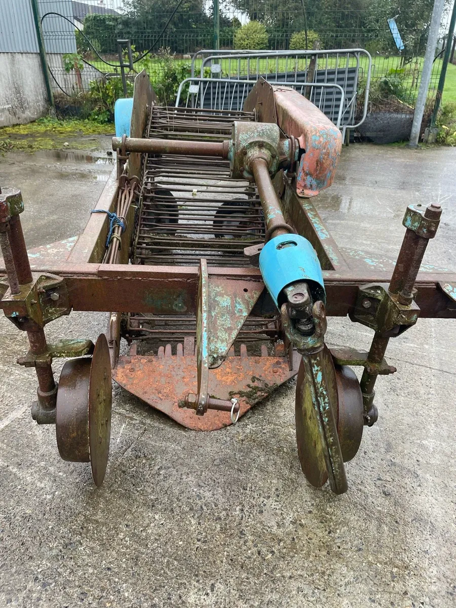 Potato picker harvester - Image 2