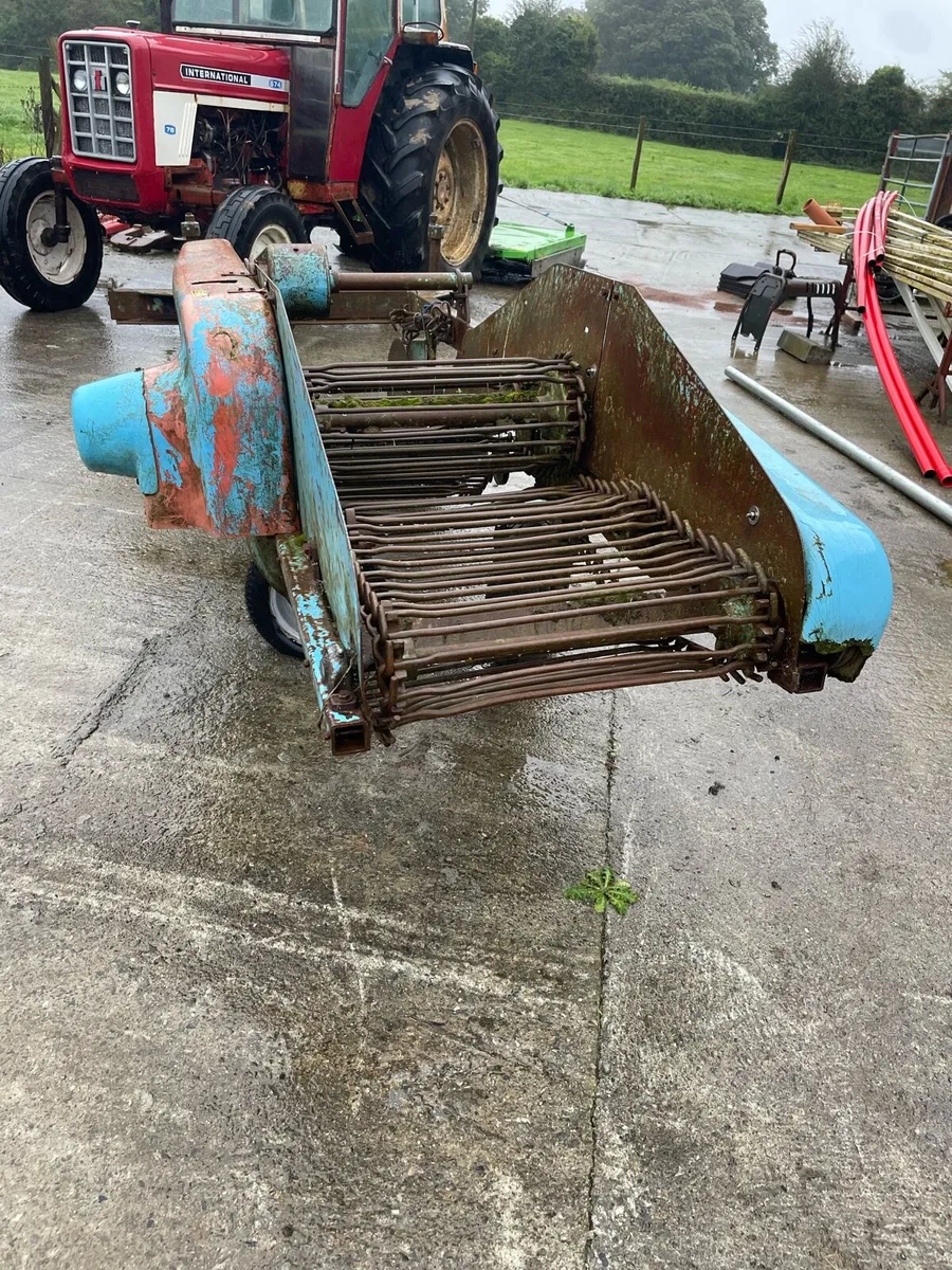 Potato picker harvester - Image 4