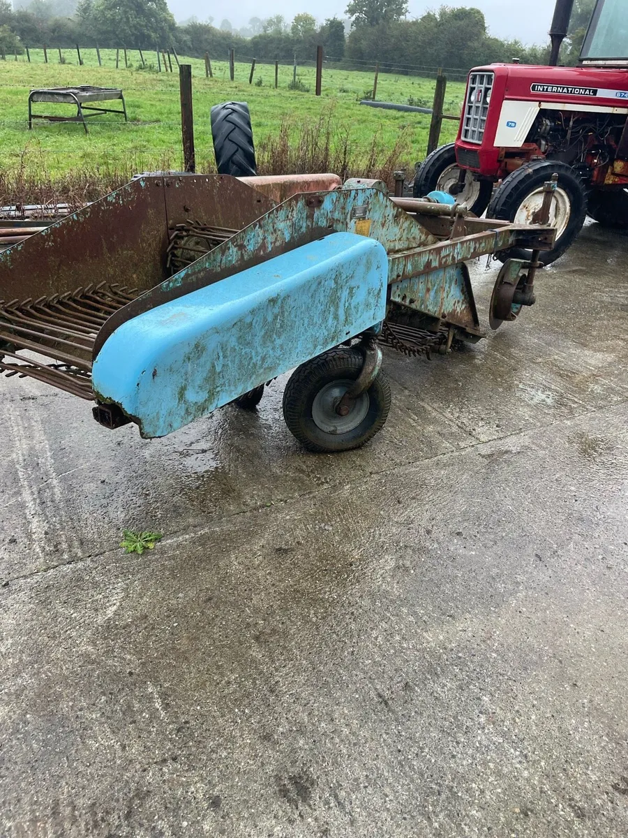 Potato picker harvester - Image 3