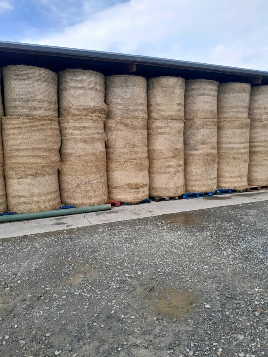 Hay - Image 1