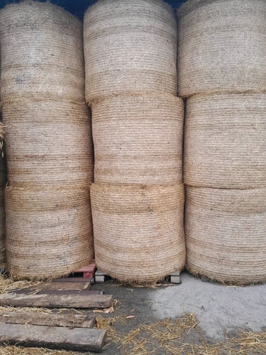 Hay - Image 2