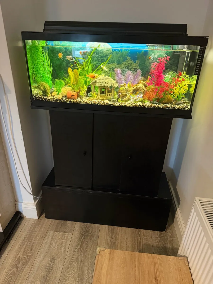 Aquarium - Image 4