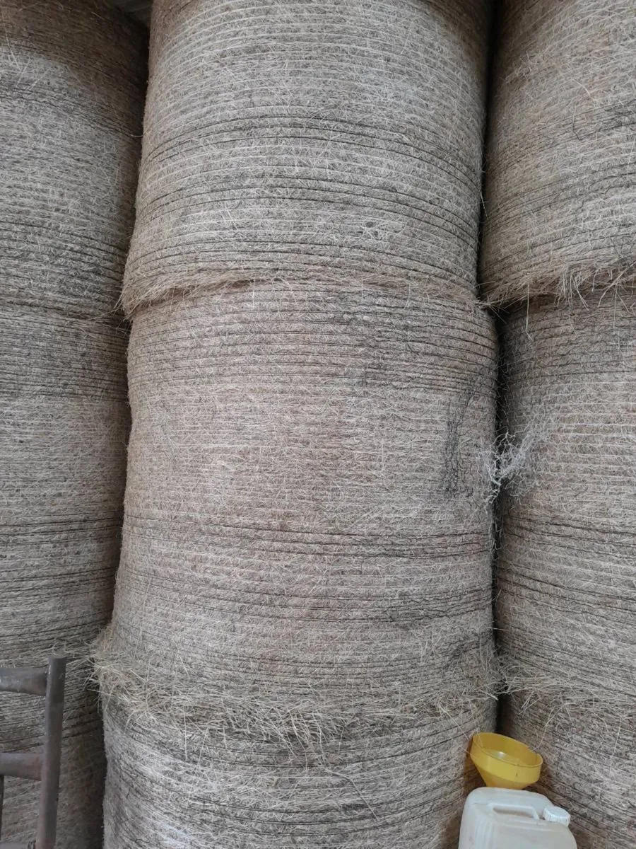 Hay - Image 3