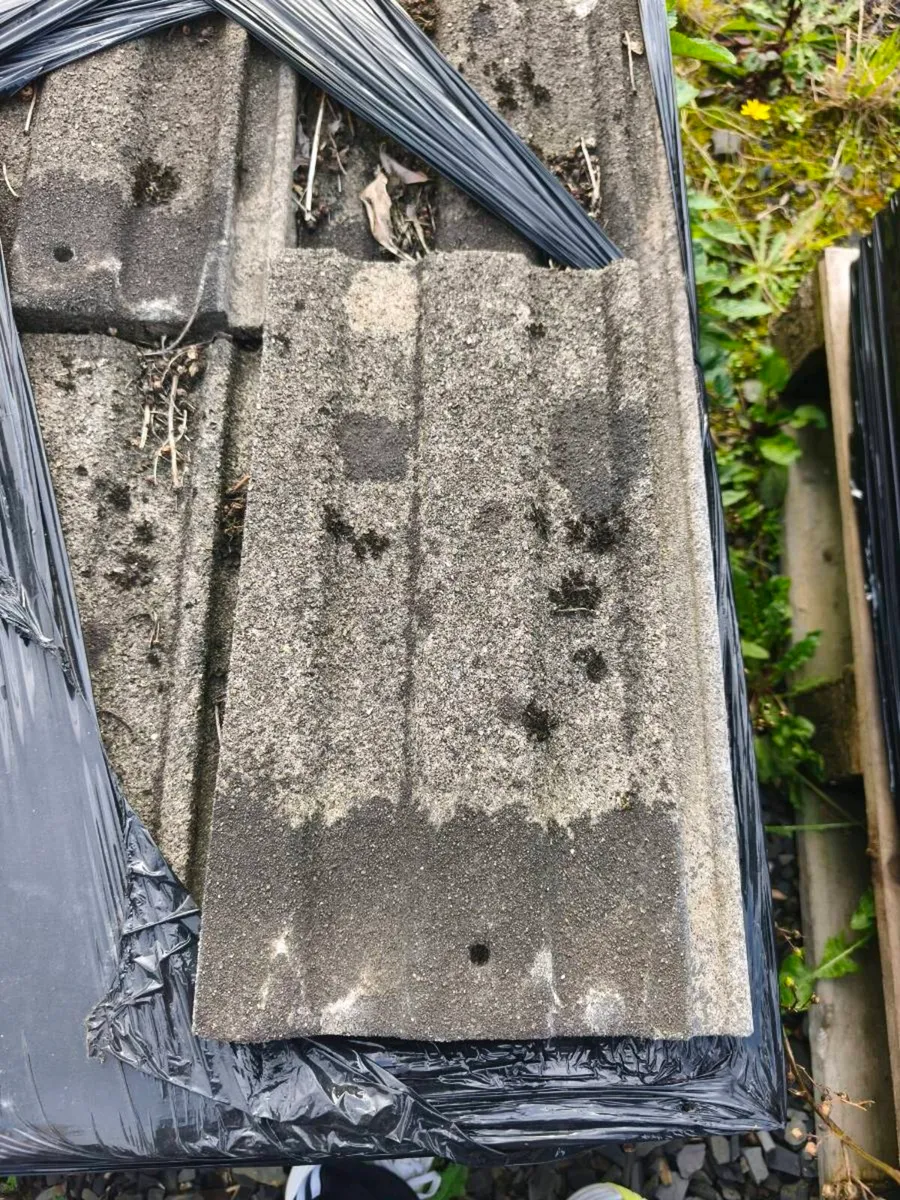 Roof tiles - Image 1