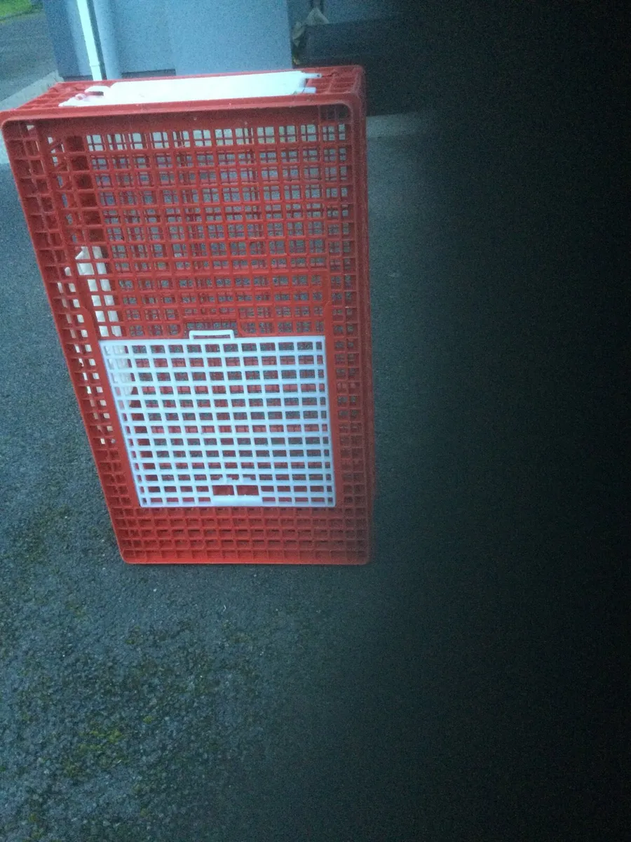 Cage for transporting fowl