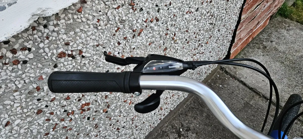 Raleigh Pioneer 1 bicycle - Image 2