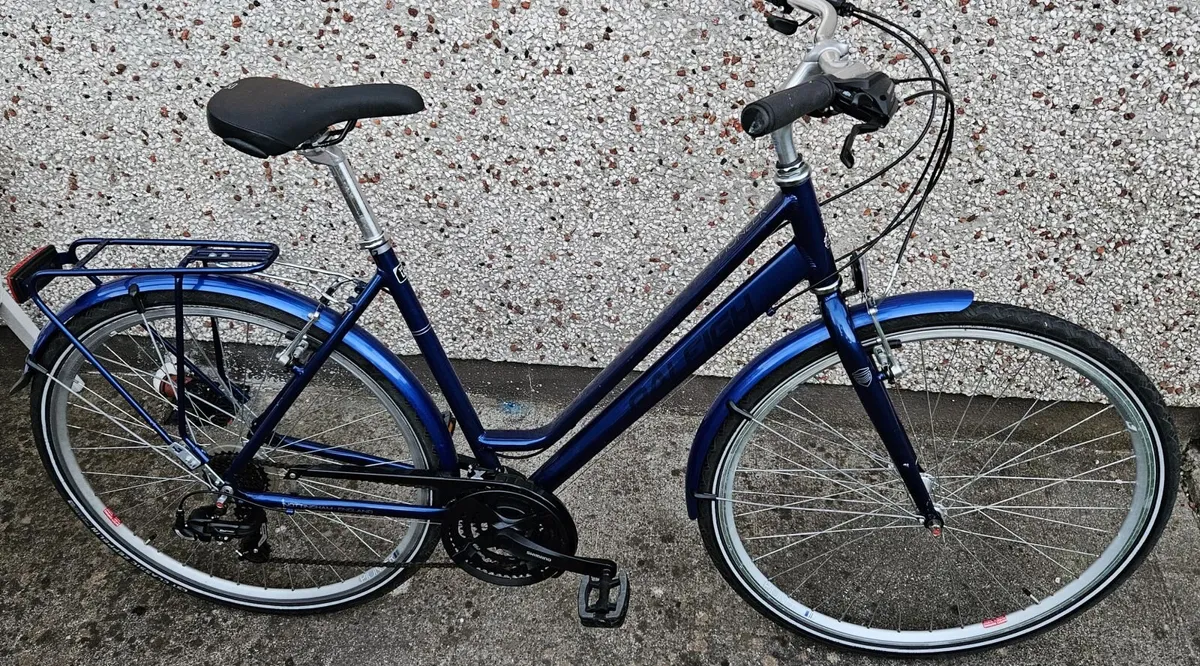 Raleigh Pioneer 1 bicycle - Image 1