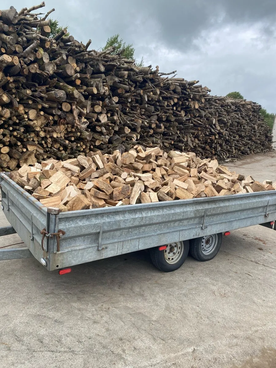 Fire wood 🔥🔥 - Image 2