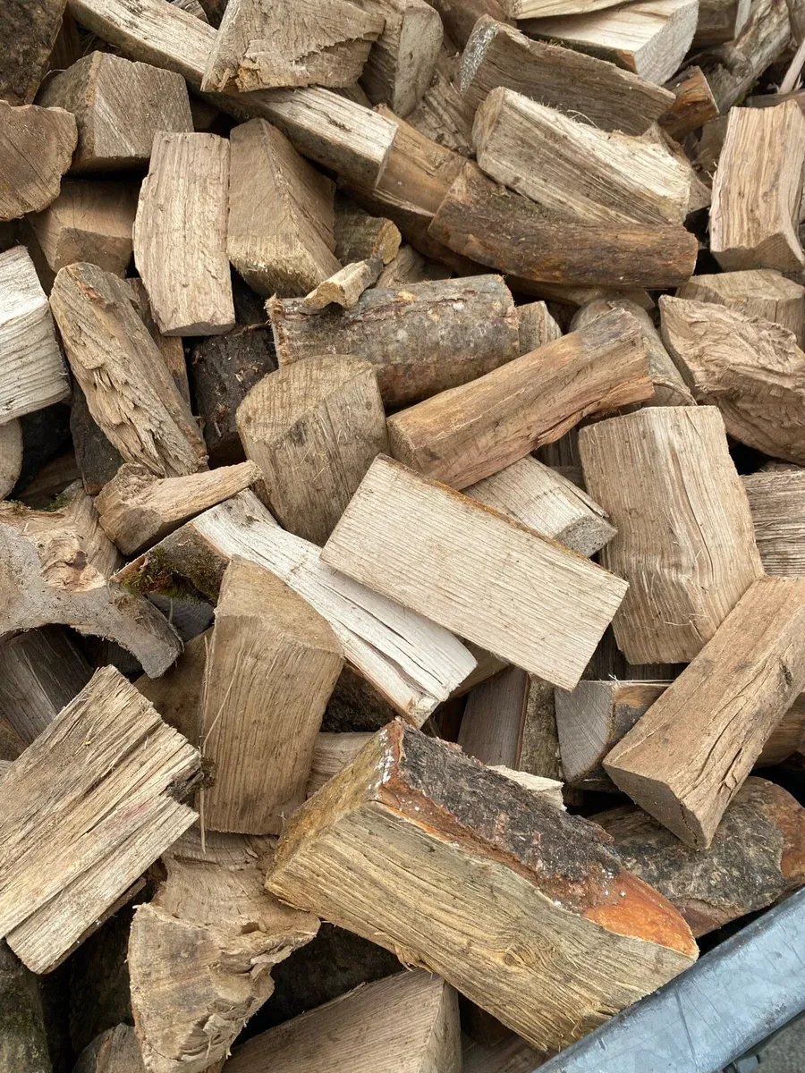 Fire wood 🔥🔥 - Image 3