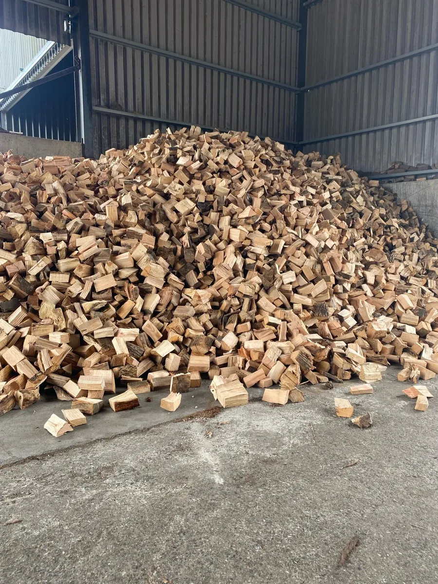 Fire wood 🔥🔥 - Image 1