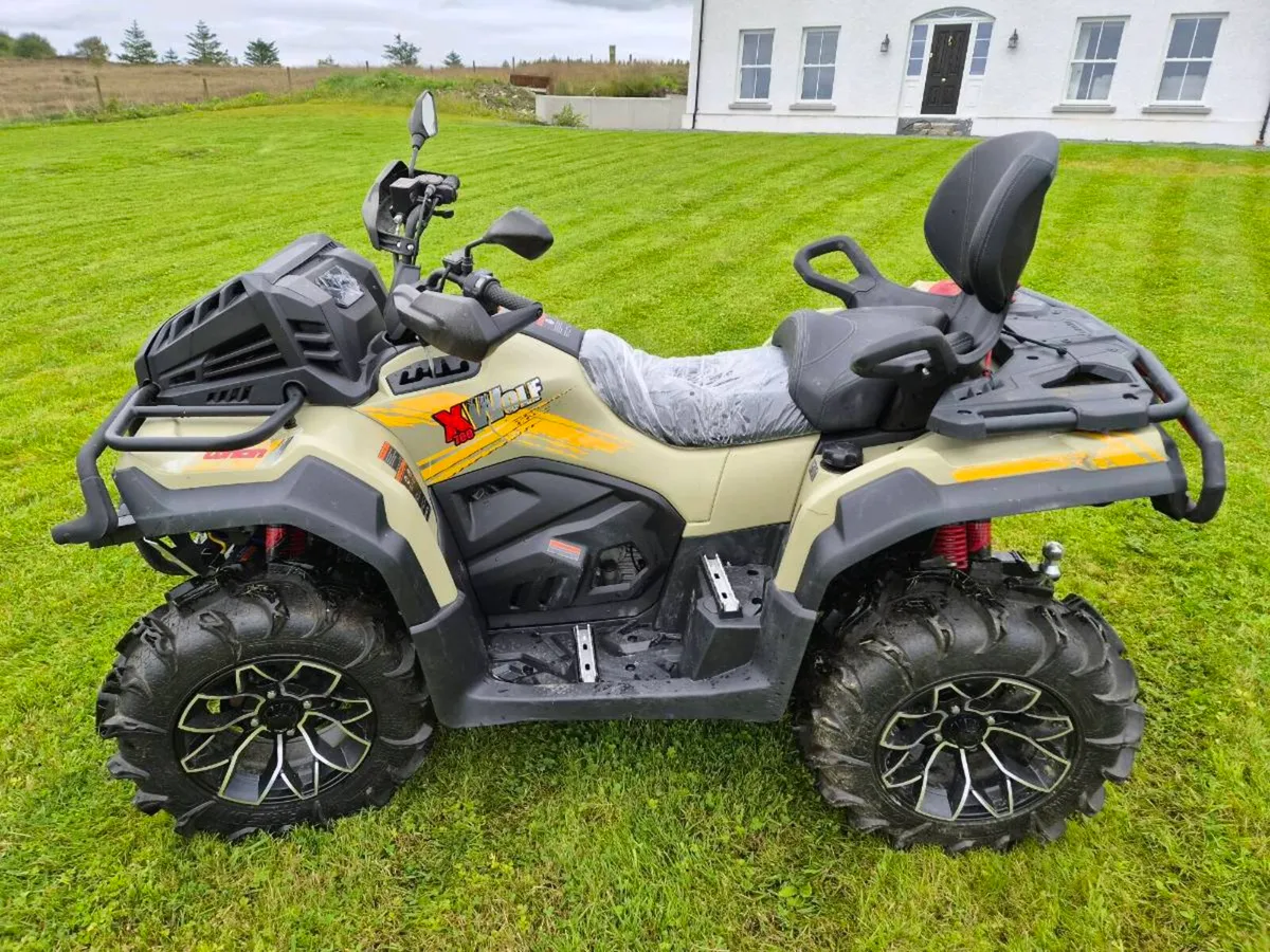 Quad 700cc - Image 2
