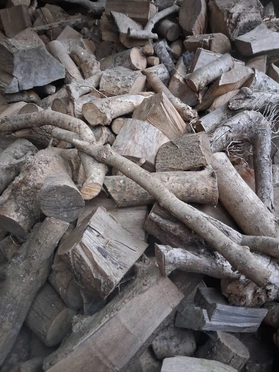 Firewood - Image 3