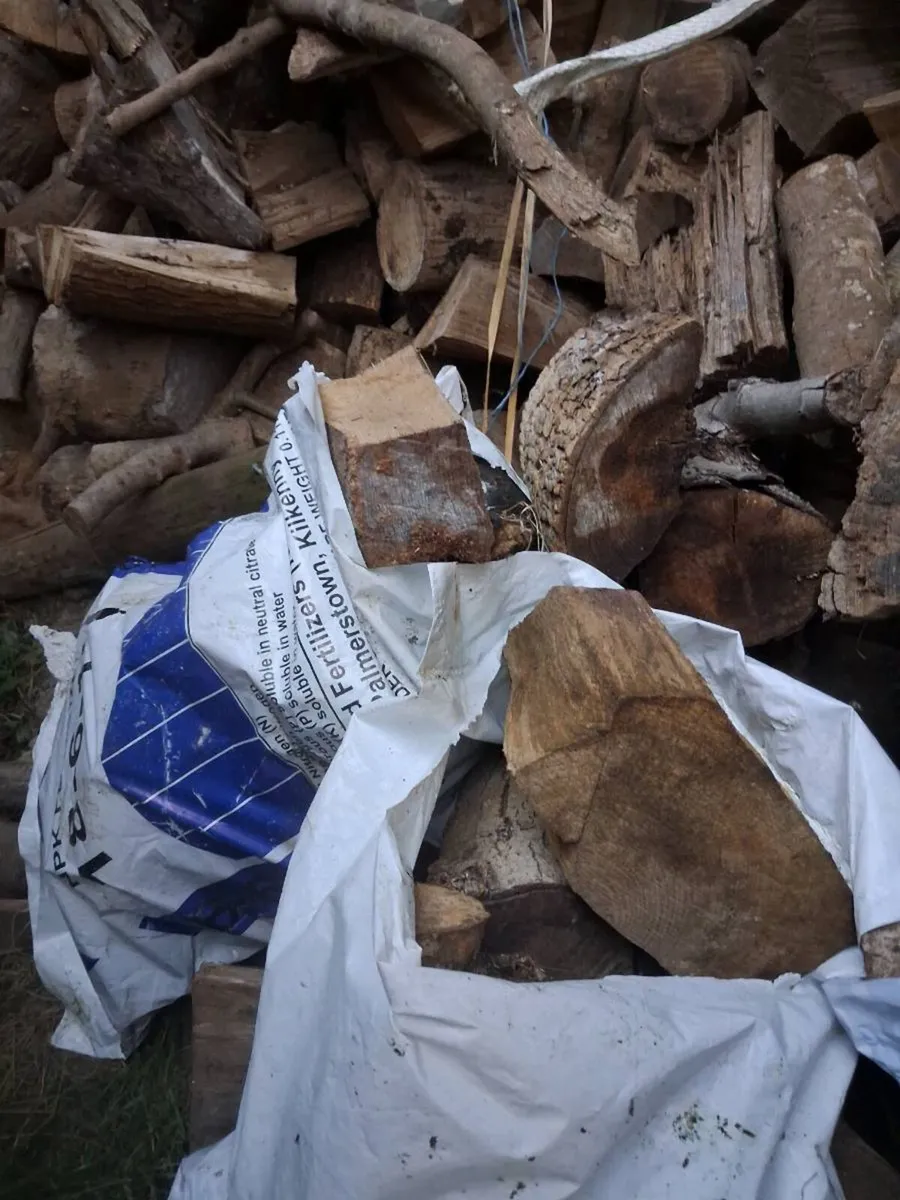 Firewood - Image 4