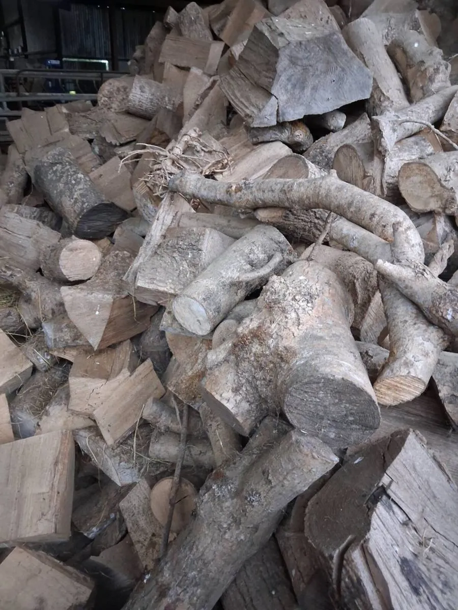 Firewood - Image 1