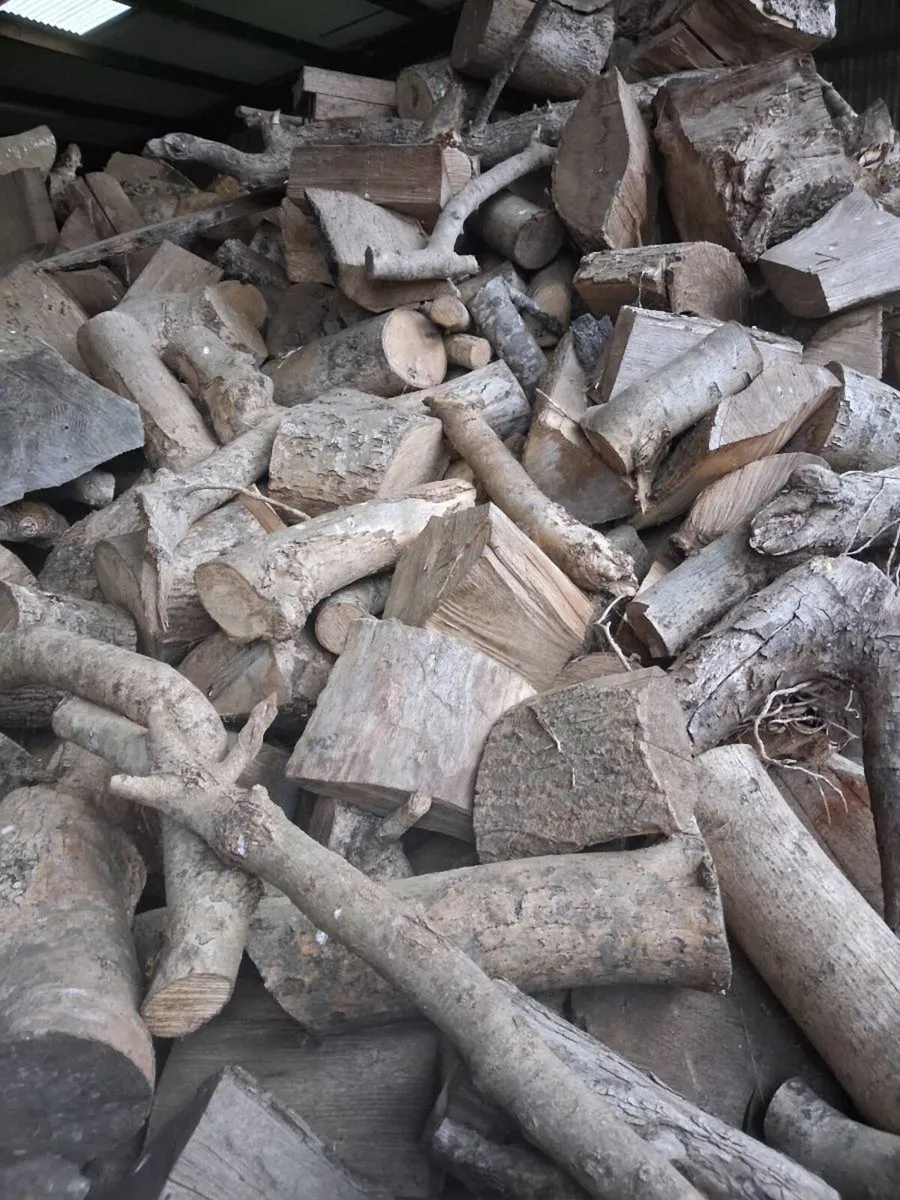 Firewood - Image 2