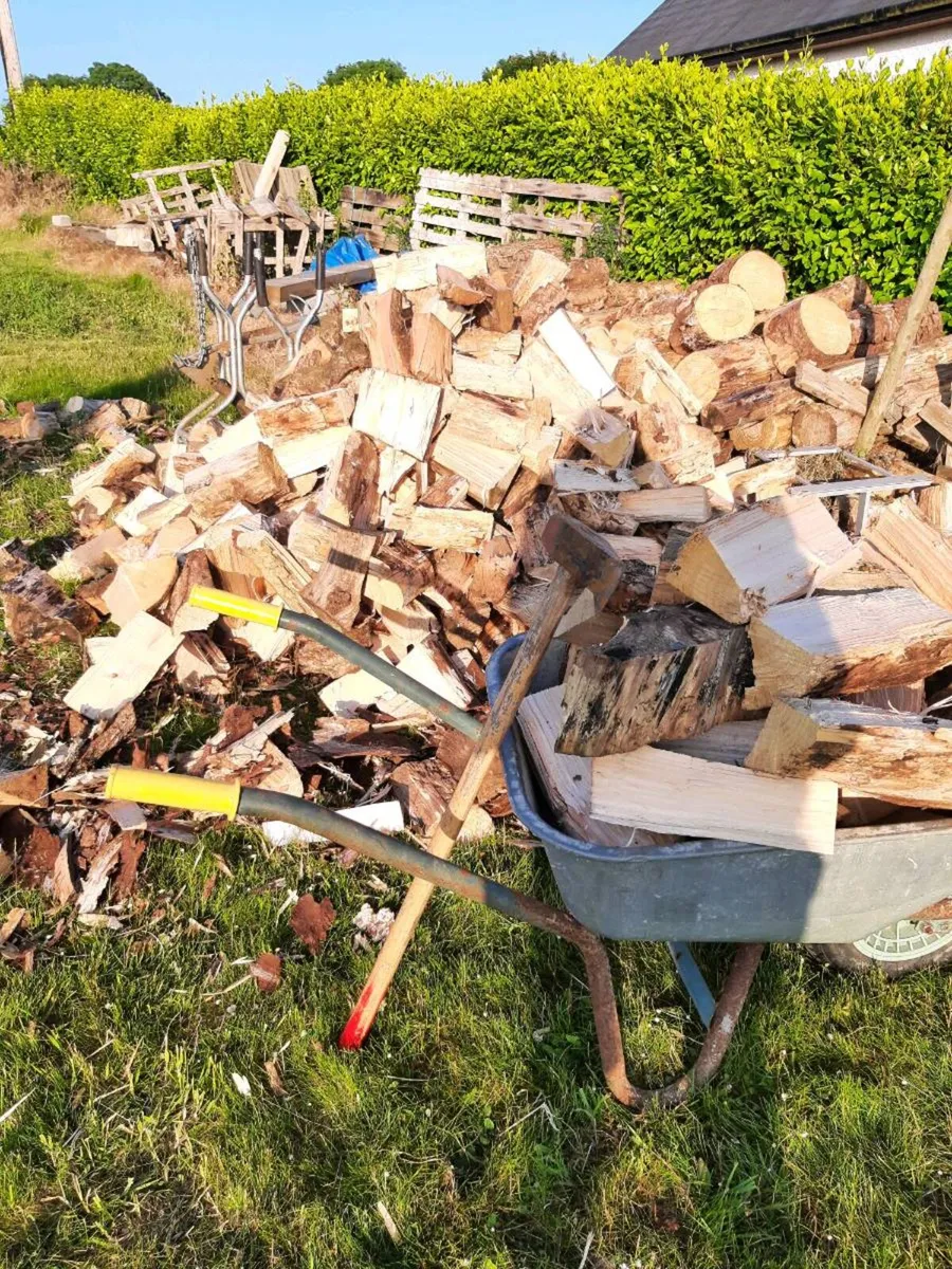 Hardwood firewood for sauna - Image 4