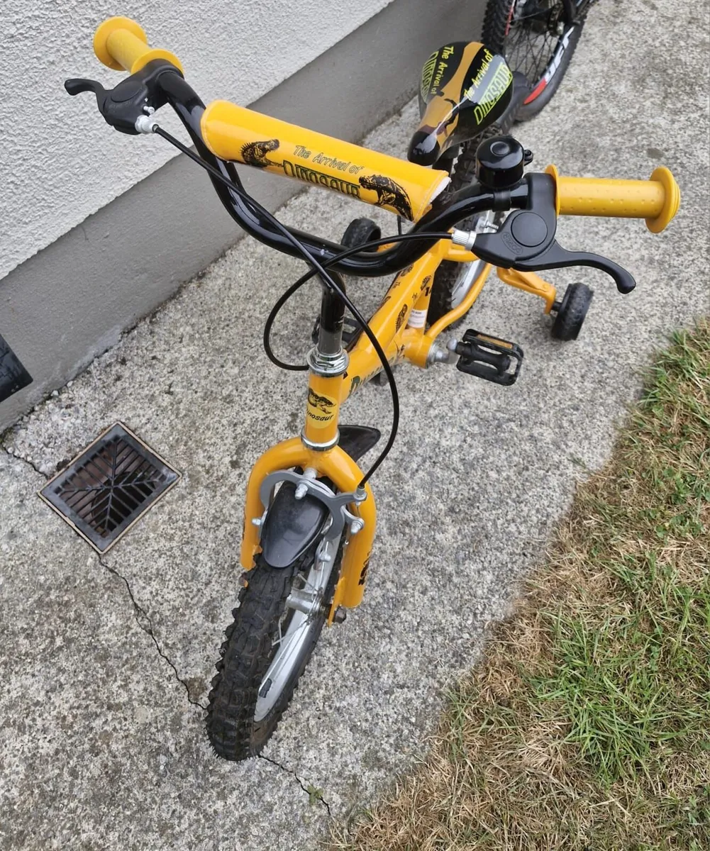 Bicycle - Image 2