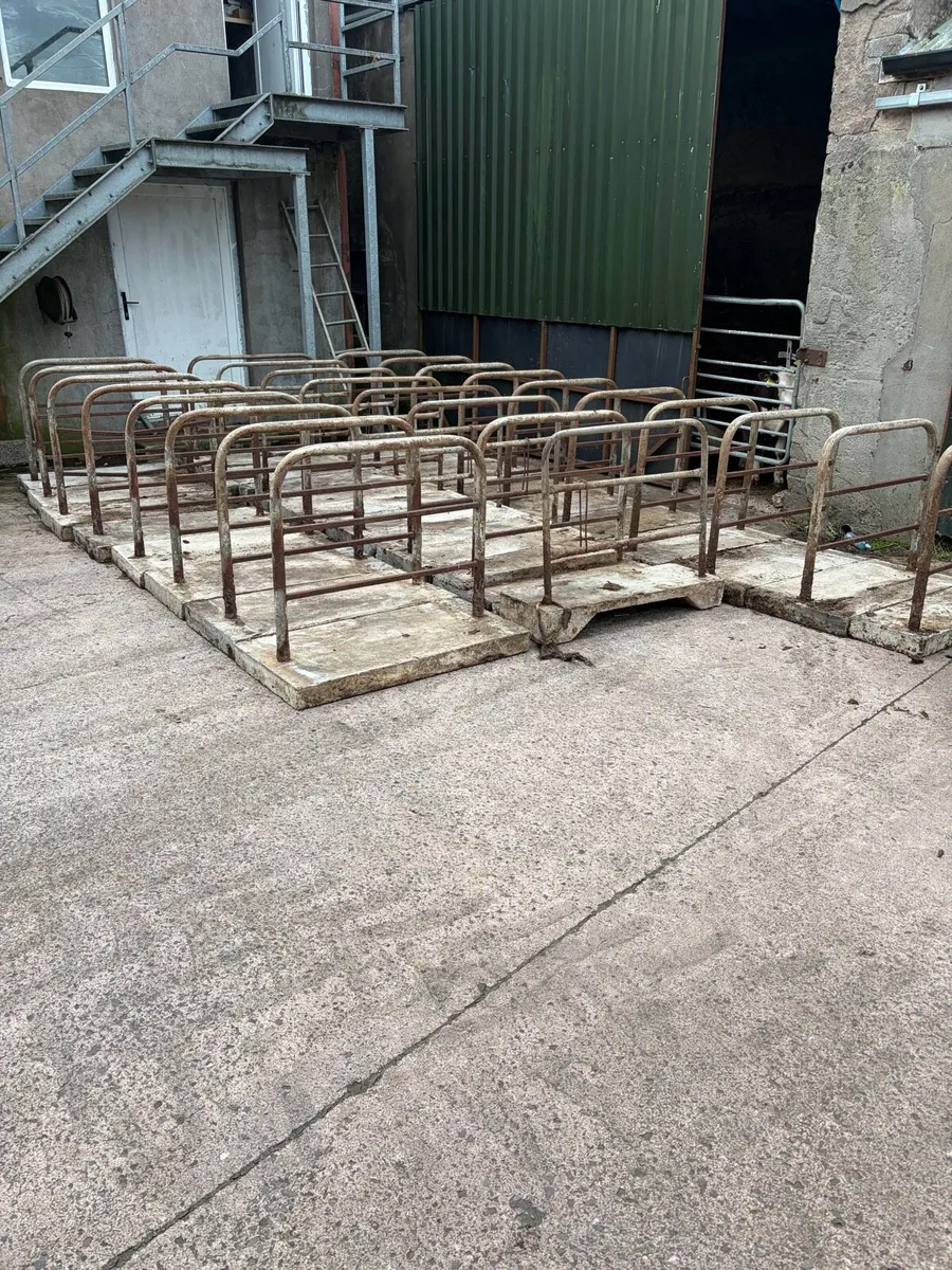 Portable calf cubicles - Image 1