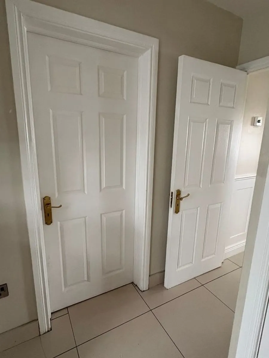 Solid doors white - Image 1