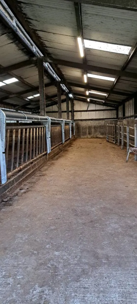 Troughs Co.galway - Image 3