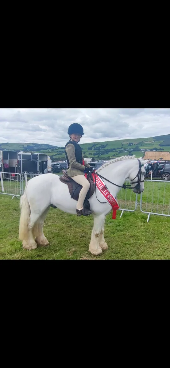Prince 13.1hhs 2nd pony (please read add) - Image 2