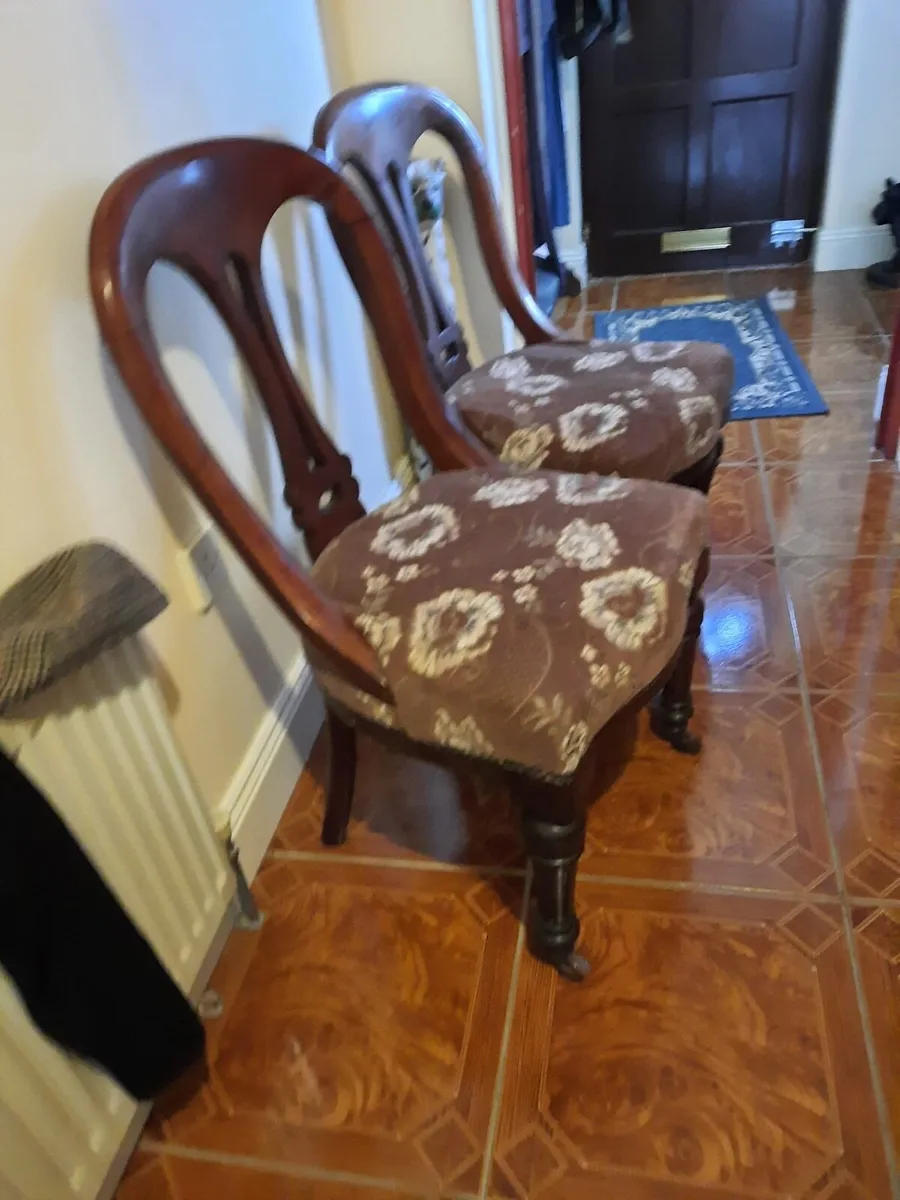 Pair of antique chairs - Image 2