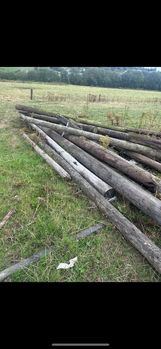 Poles - Image 2