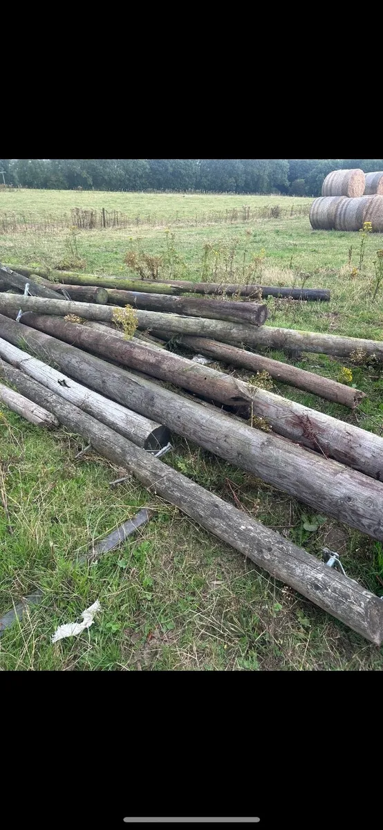 Poles - Image 1