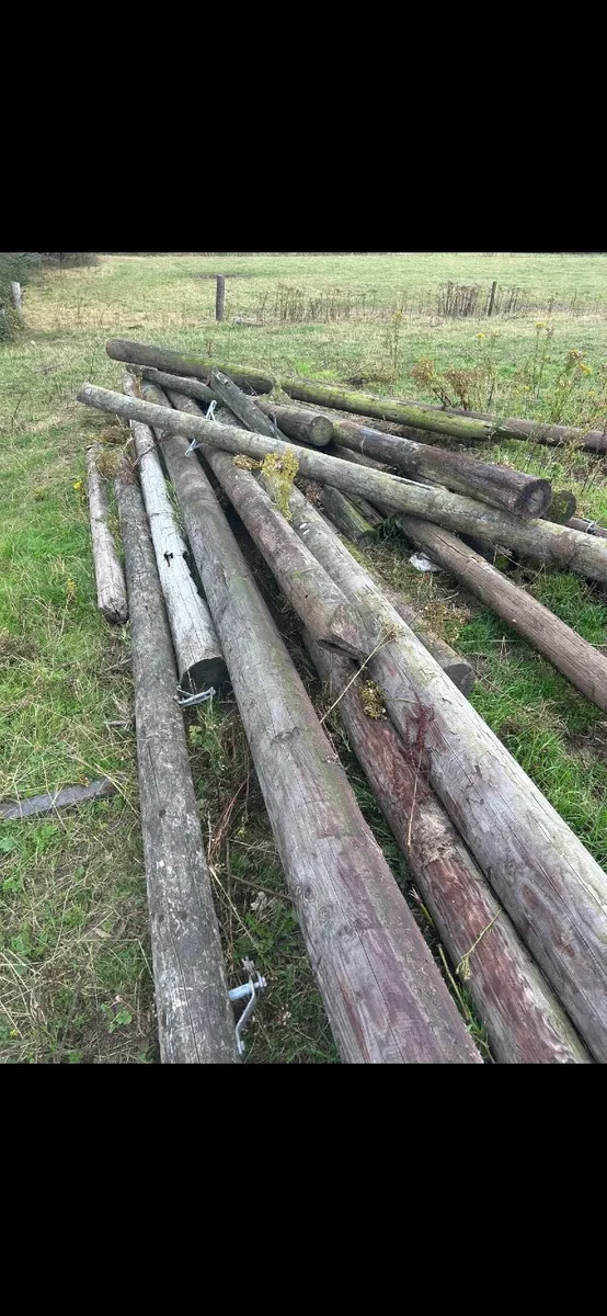 Poles - Image 3
