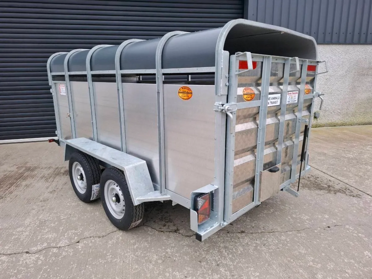 New Mc Kelvey 10ft x 5ft sheep trailer - Image 4