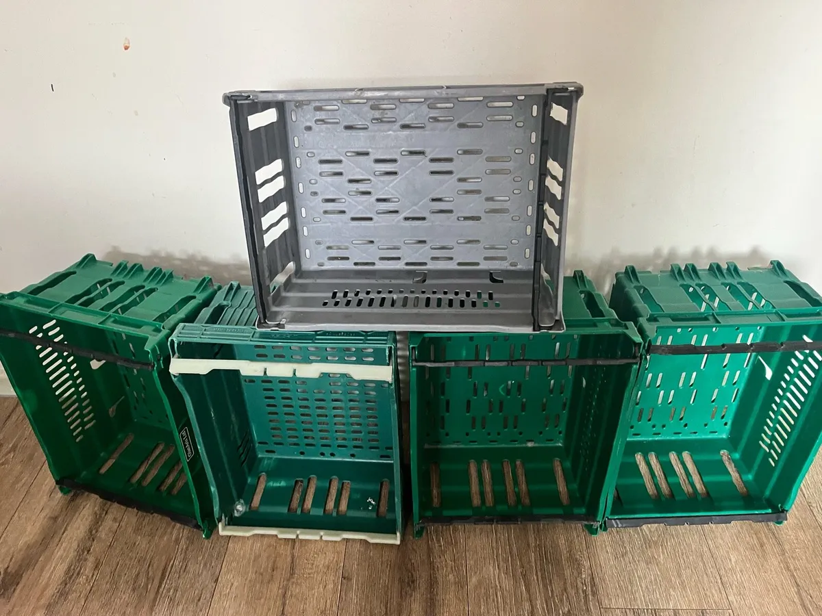 Five boxes - Image 4