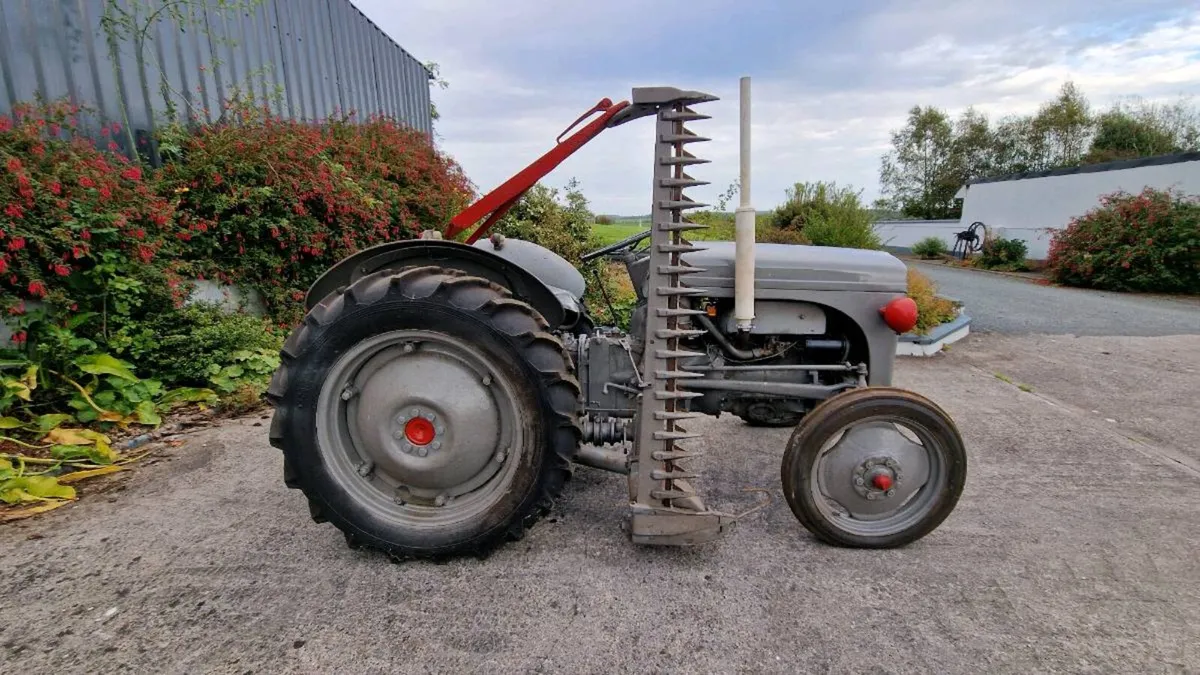 Ferguson tvo tractor - Image 4