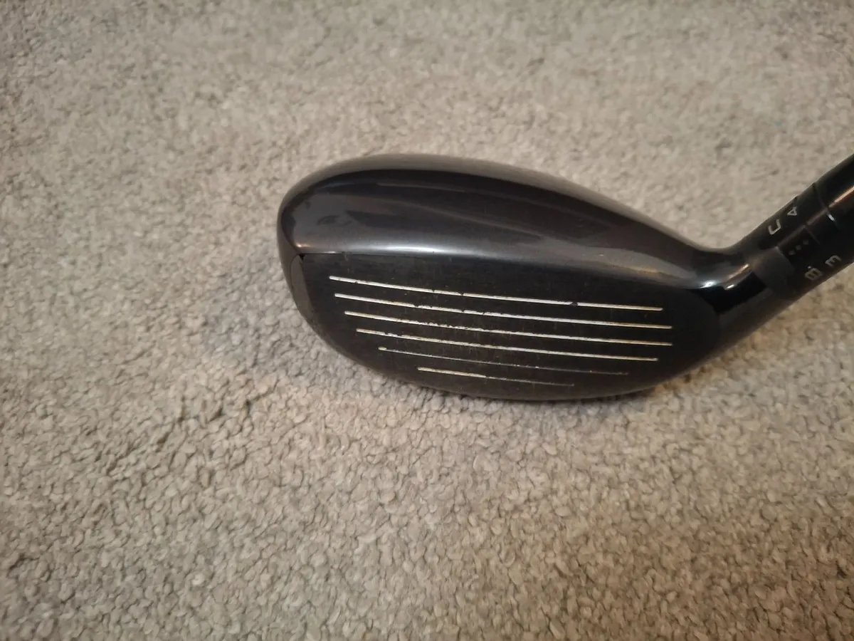 H1 hybrid - Image 2